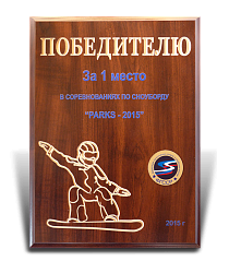 Кубок наградной спортивный АПД-1260